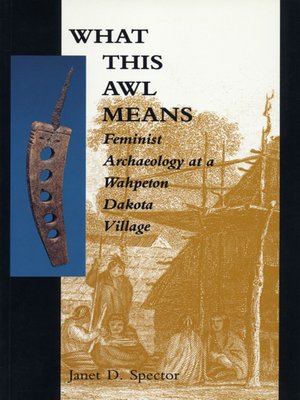 cover image of What This Awl Means
